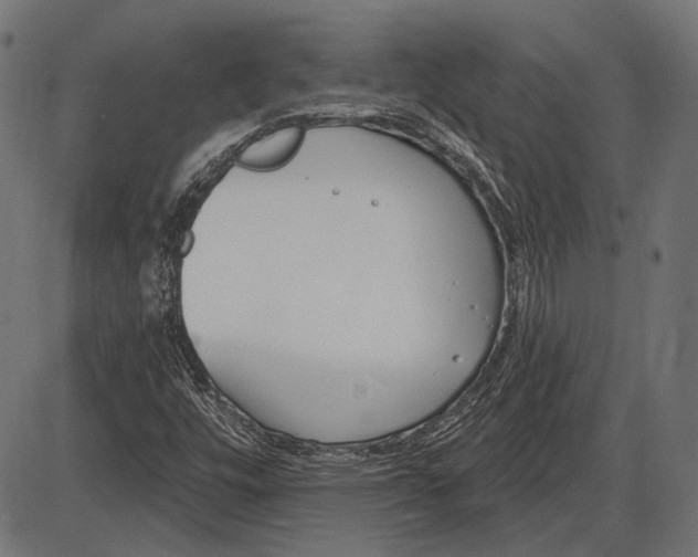 X0000086071448200704091223