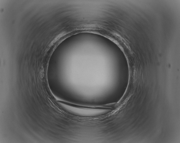X0000086071449200704091223