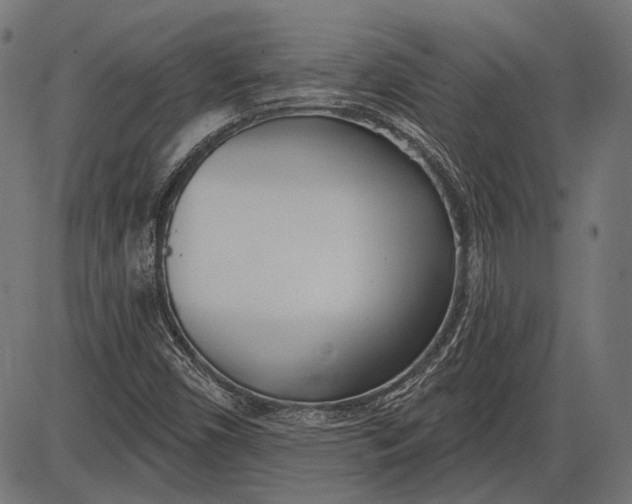 X0000086071450200704091223