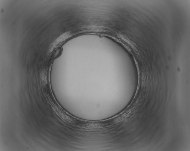 X0000086071451200704091223