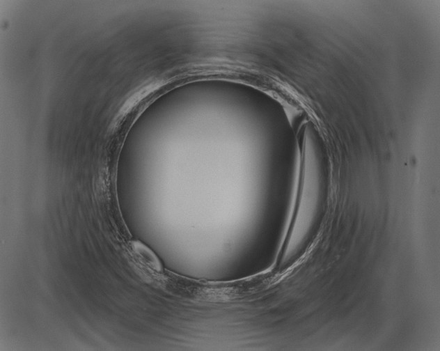 X0000086071453200704091223