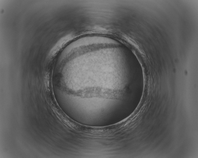 X0000086071455200704091223