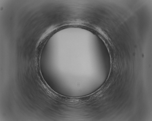 X0000086071456200704091223