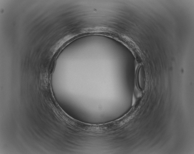 X0000086071457200704091223