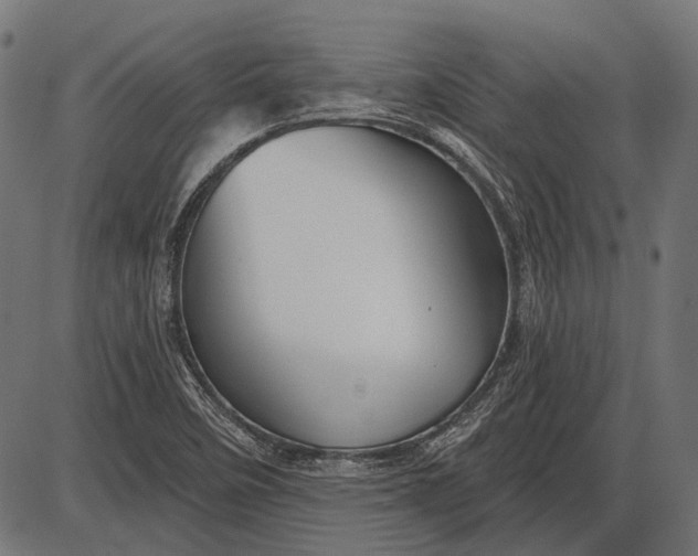 X0000086071458200704091223