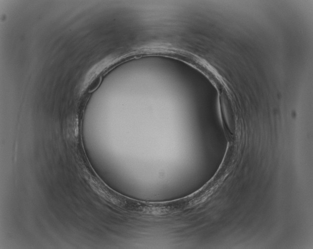 X0000086071461200704091223