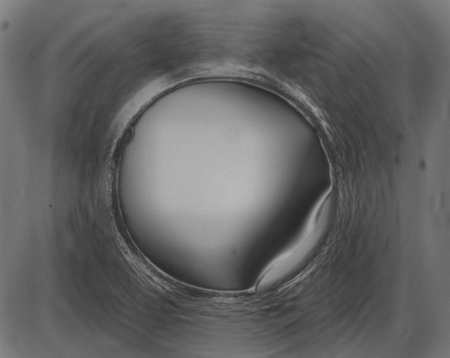 X0000086071463200704091223