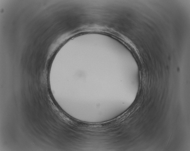 X0000086071464200704091223