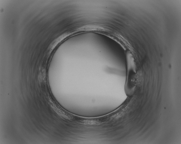 X0000086071465200704091223