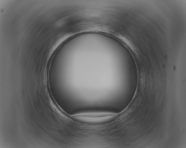 X0000086071468200704091223