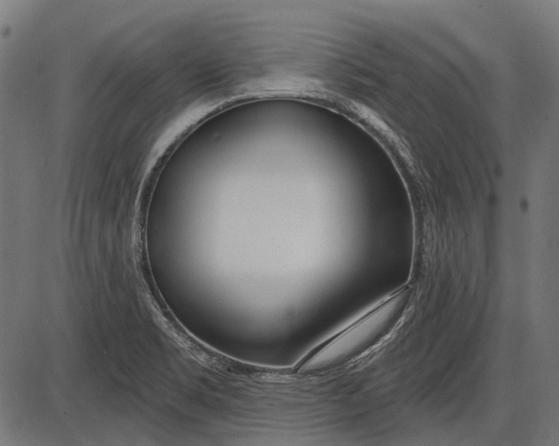 X0000086071469200704091223
