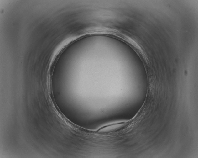X0000086071472200704091223