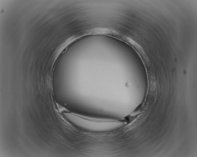 X0000086071473200704091223