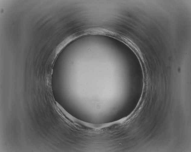 X0000086071481200704091222