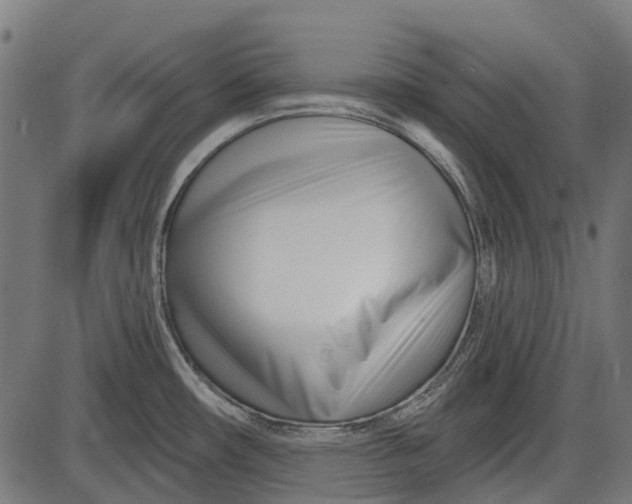 X0000086071482200704091222
