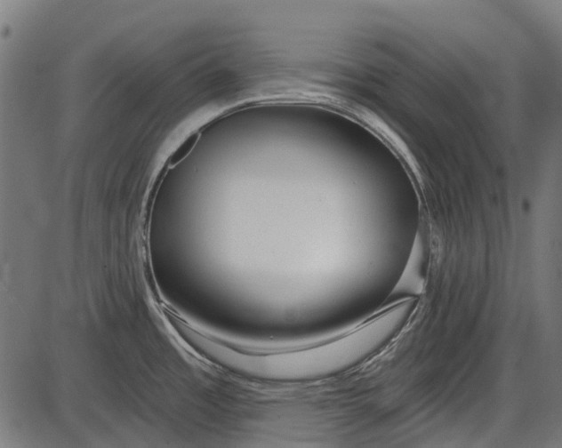 X0000086071485200704091222