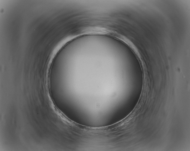X0000086071488200704091222