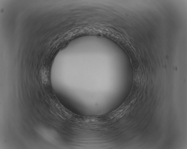 X0000086071490200704091221