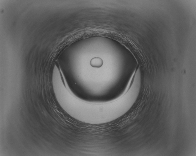 X0000086071492200704091221