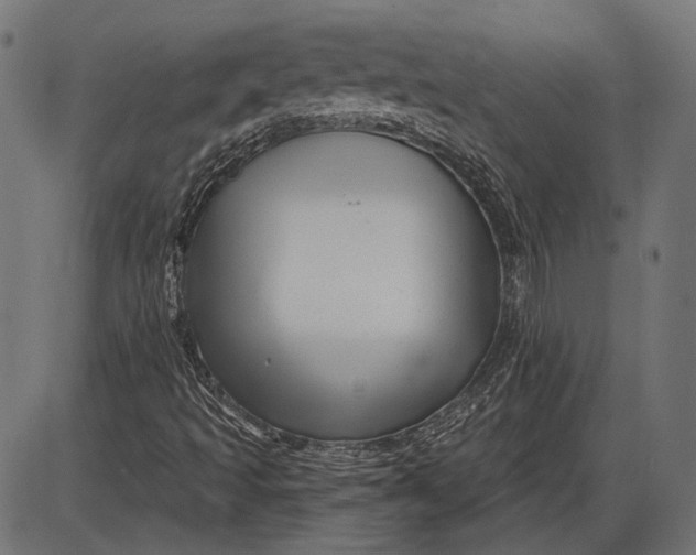 X0000086071493200704091222
