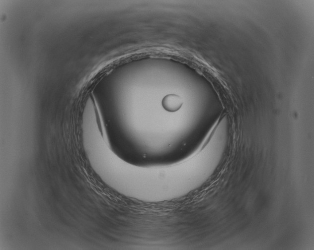 X0000086071496200704091222
