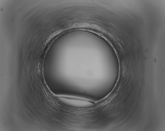X0000086071497200704091222