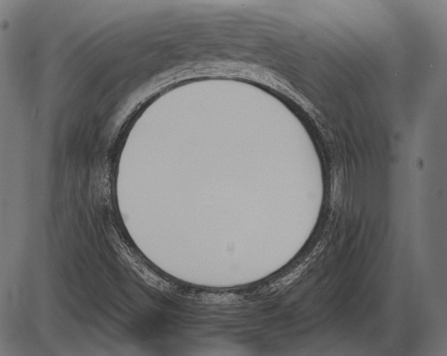 X0000086071498200704091222