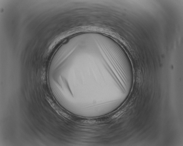 X0000086071499200704091222