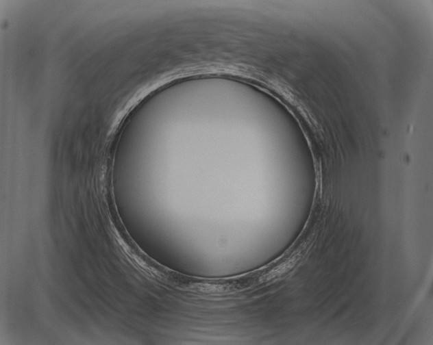 X0000086071500200704091222