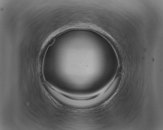 X0000086071506200704091222