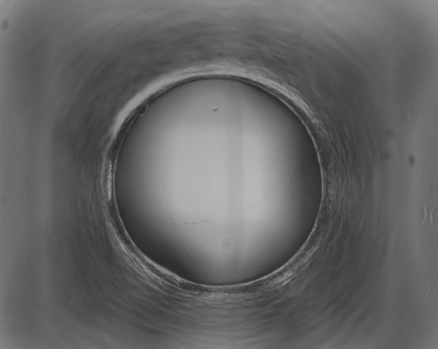 X0000086071510200704091222