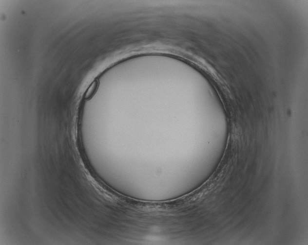 X0000086071512200704091222