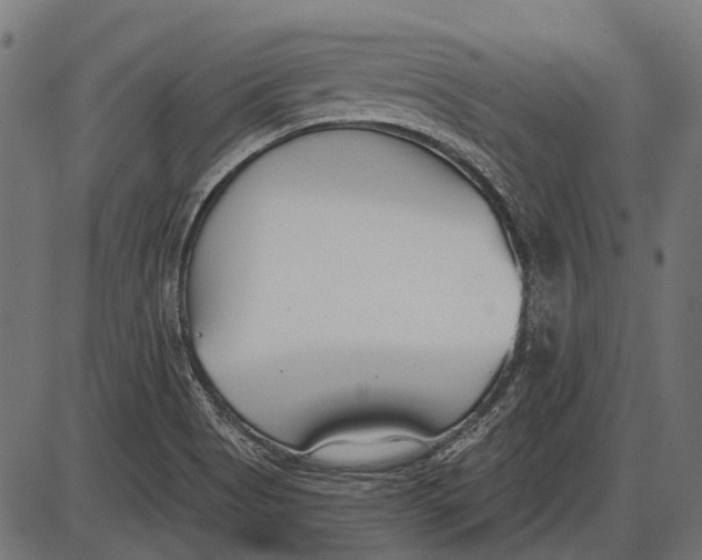 X0000086071513200704091222
