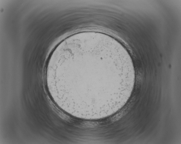 X0000086071514200704091222