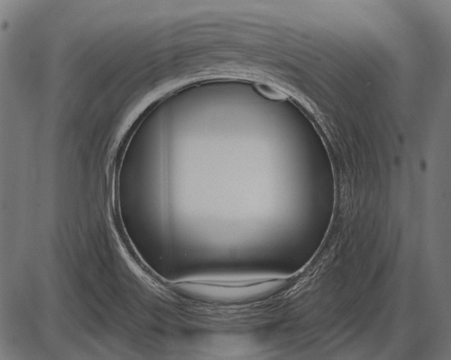 X0000086071515200704091222