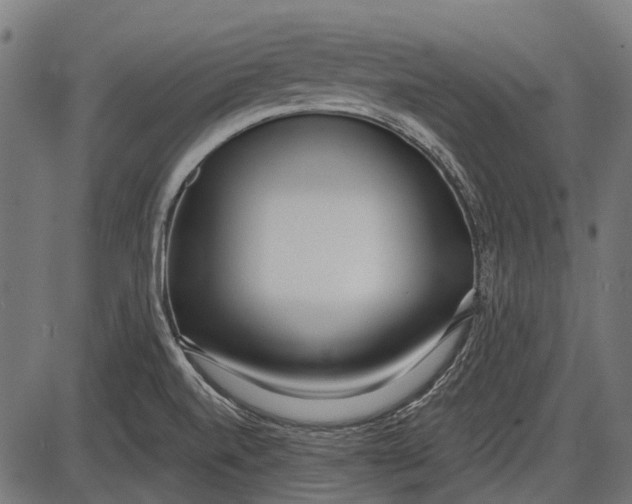 X0000086071520200704091222