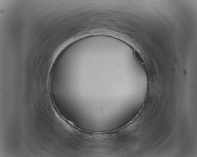 X0000086071527200704091222