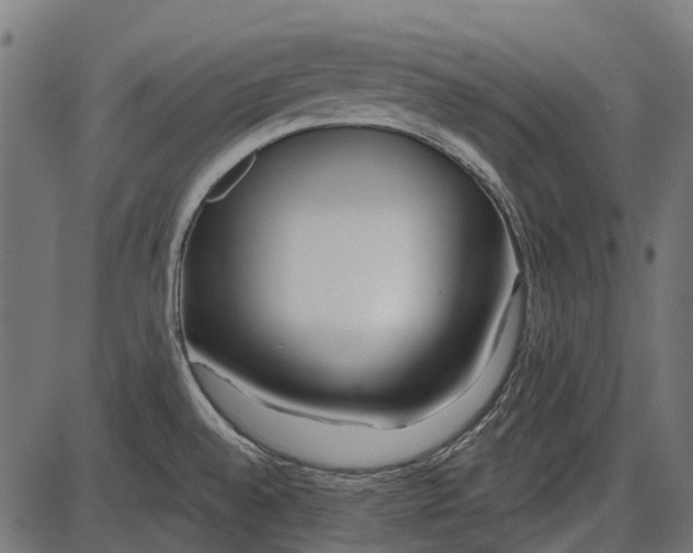 X0000086071528200704091222