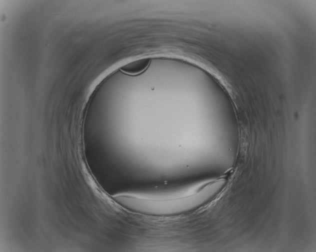 X0000086071534200704091222