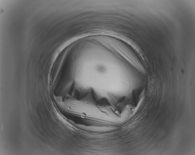 X0000086071535200704091222