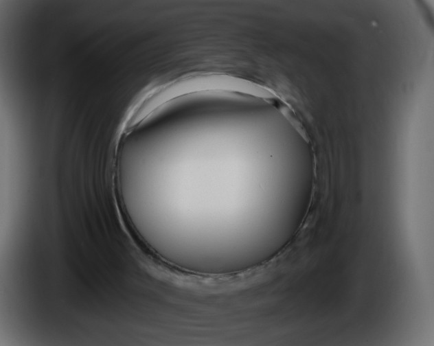 X0000086070003200704132050