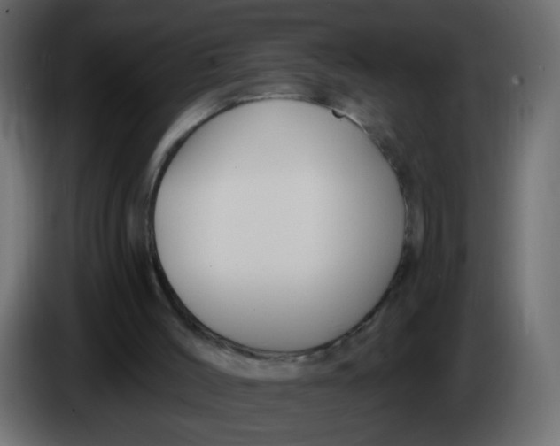 X0000086070004200704132050