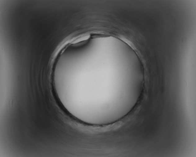 X0000086070007200704132050