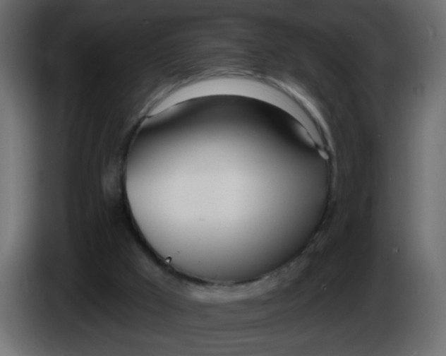 X0000086070009200704132050