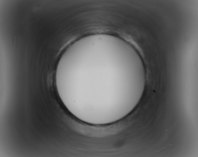 X0000086070010200704132050