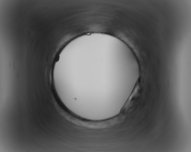 X0000086070011200704132050