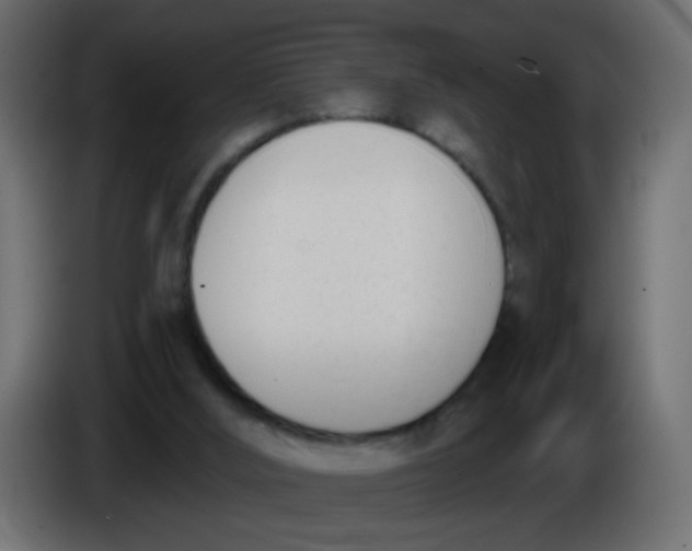 X0000086070012200704132050