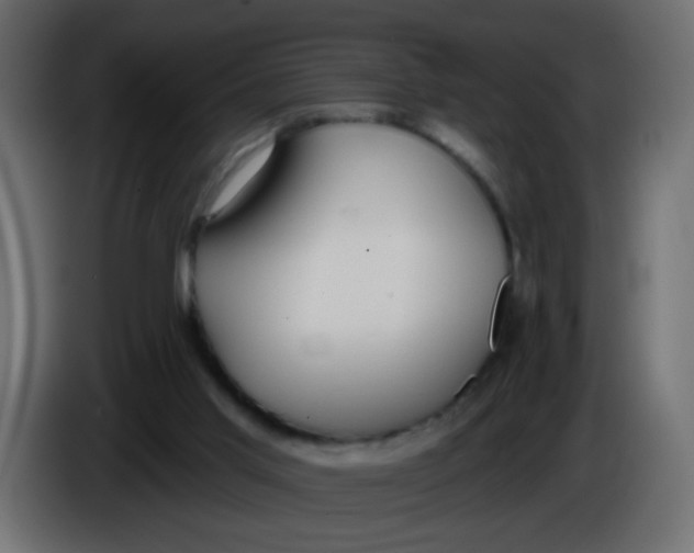 X0000086070013200704132050