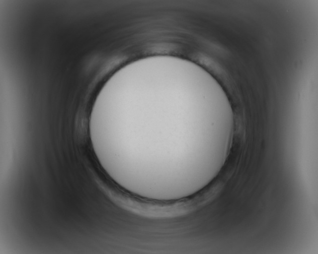 X0000086070016200704132050