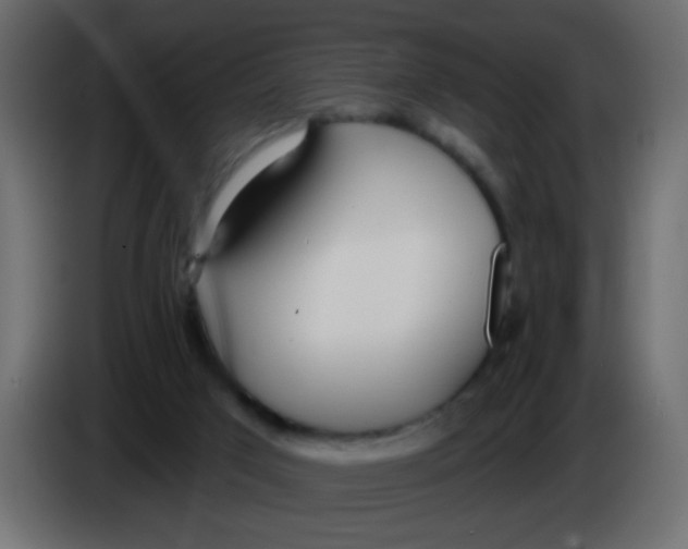 X0000086070017200704132050